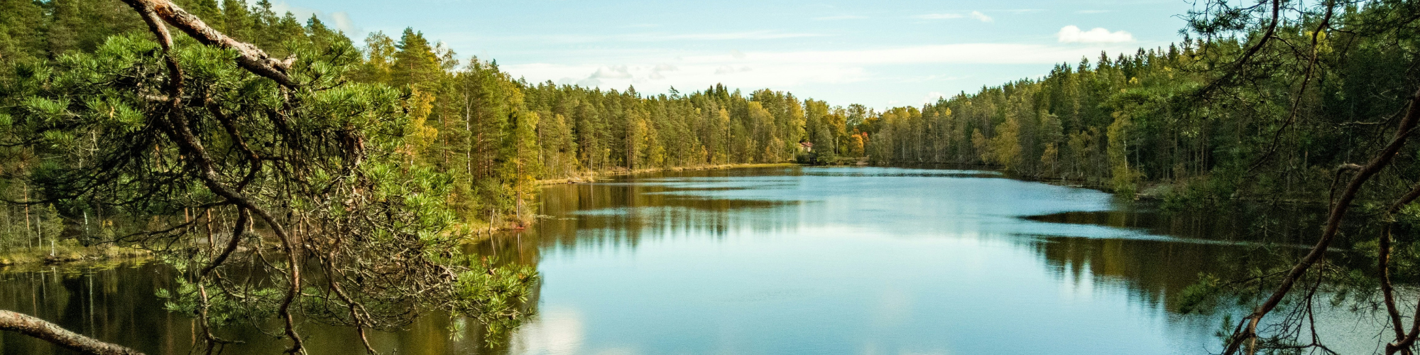 Språk_Finland