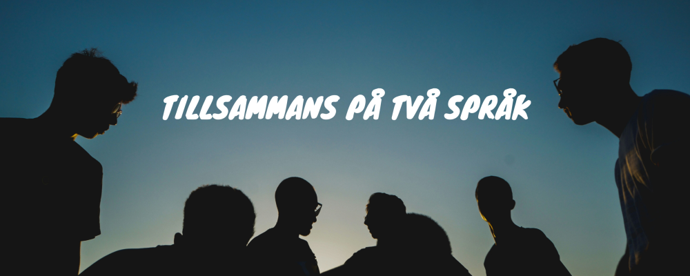 Tillsammans på två språk_bild