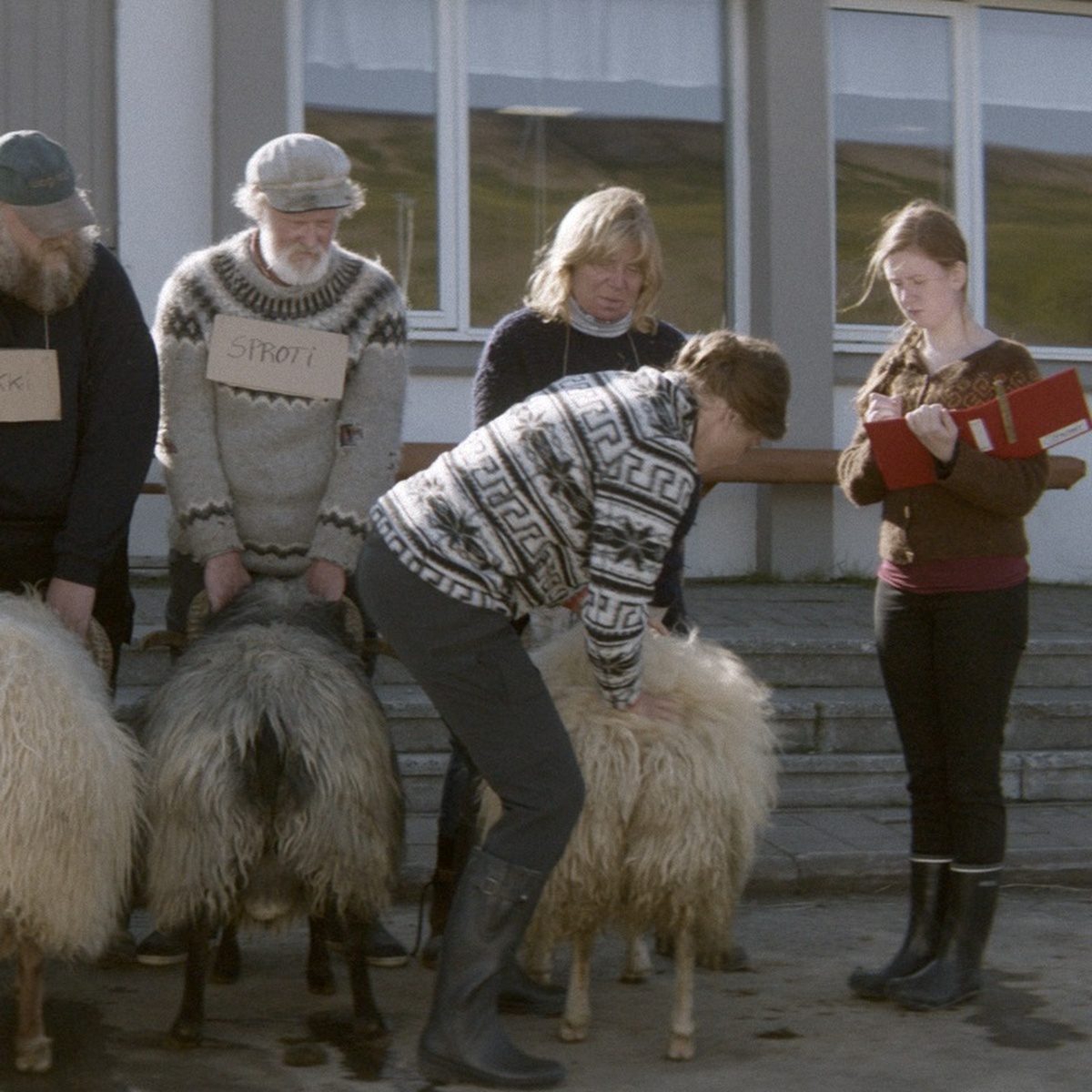 Bland män och får